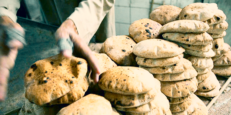 مصر تنتج 8.1 مليار رغيف خبز مدعم شهريًا،