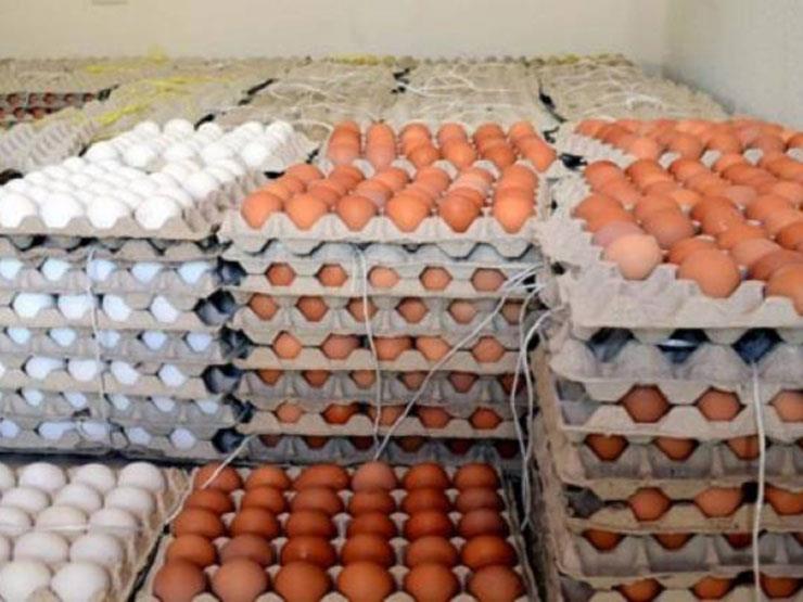 ارتفعت أسعار البيض إلى مستويات غير مسبوقة